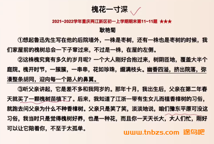 盖老师初中语文学霸养成营阅读理解和课外文言文 40讲百度网盘下载
