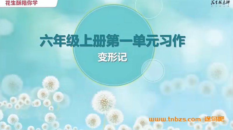 花生酥毛芸老师小学语文六年级课堂同步作文 14讲百度网盘下载