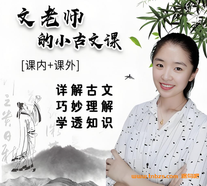 文老师的小古文课60讲视频课程加配套资料 百度网盘下载