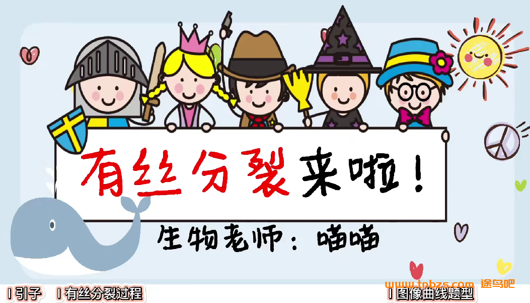 B站生物课程 一生儿高中生物全套课程24G合集 百度网盘下载