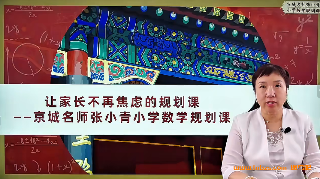 京城名师张小青小学数学规划课 43讲完结百度网盘下载