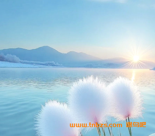 湖北省襄阳市樊城区数学人教版六年级（上）期末数学试卷（含答案） – 百度网盘下载