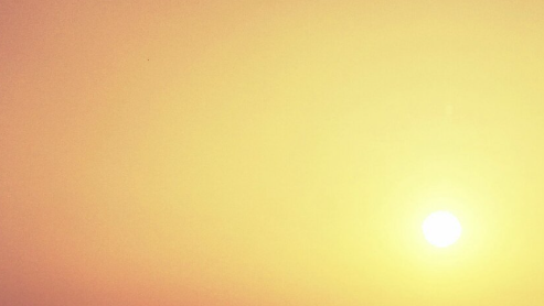 辽宁省大连市沙河口区五年级（上）期末数学试卷（含答案） – 百度网盘下载