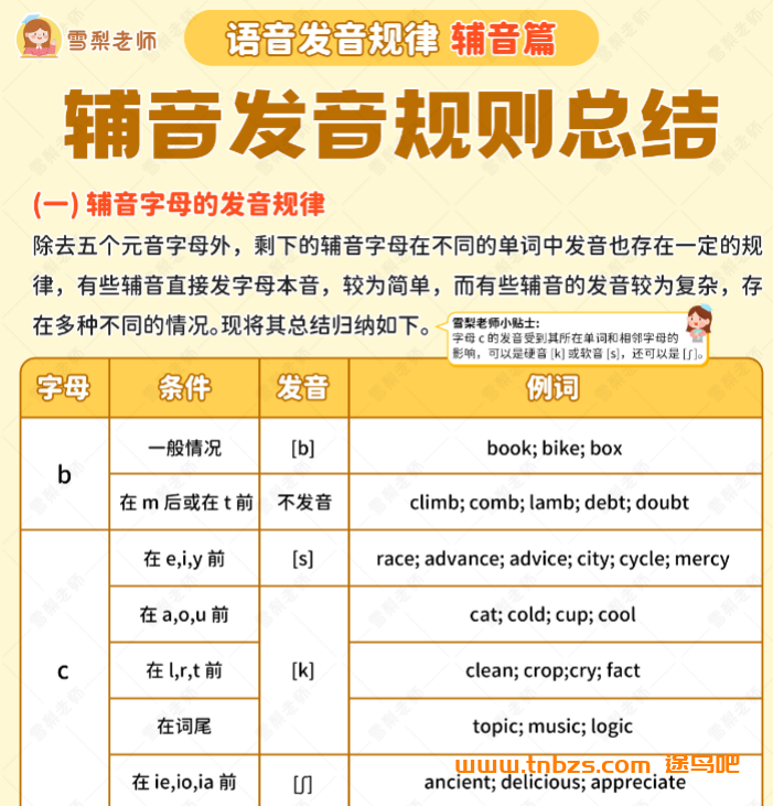 雪梨老师25套小学英语完整版学习资料 百度网盘下载