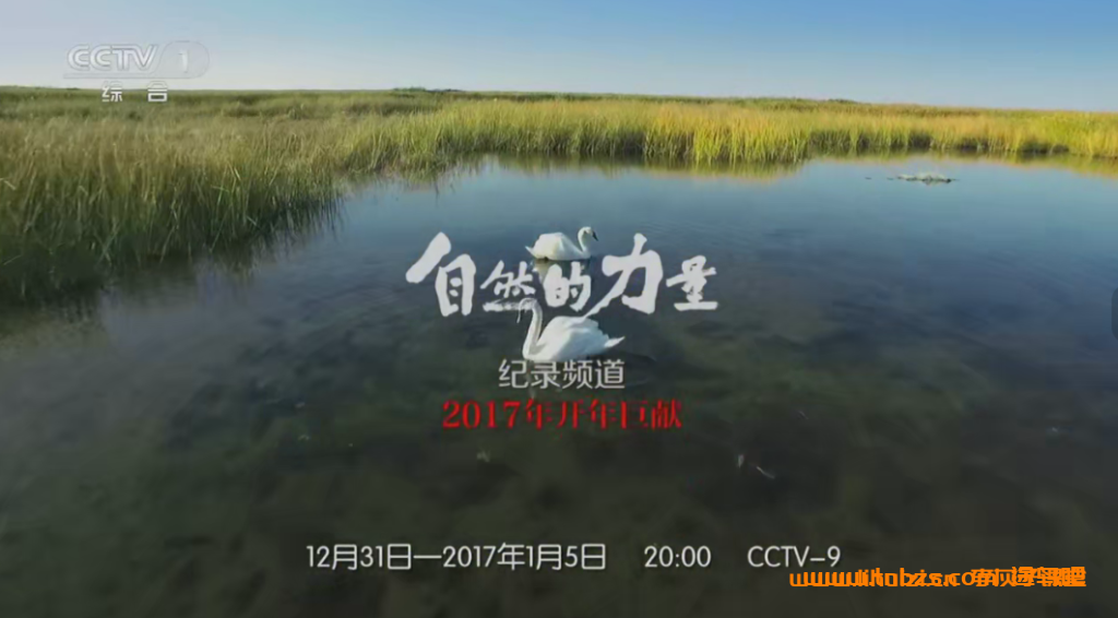 央视高清纪录片自然的力量普通话6集720P高清 百度网盘免费下载