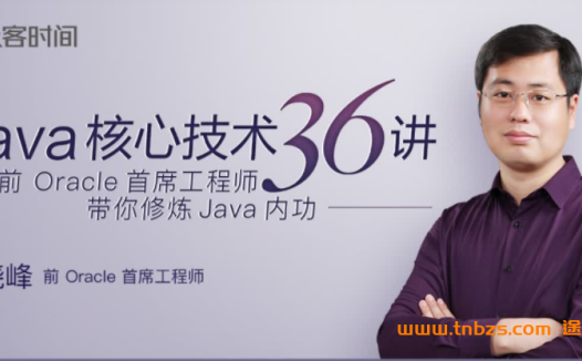 Java核心技术面试强化指南：杨晓峰（原Oracle首席工程师）精讲