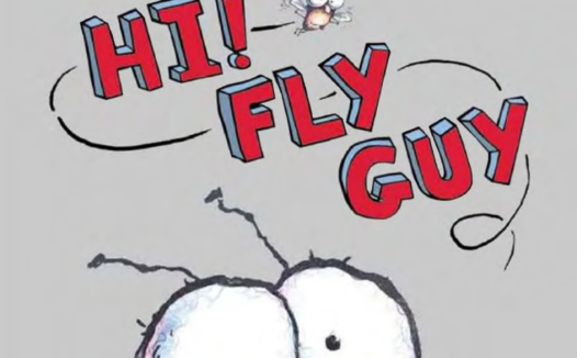 资源合集:苍蝇小子(Fly Guy)点读版PDF、音频、视频及中文翻译