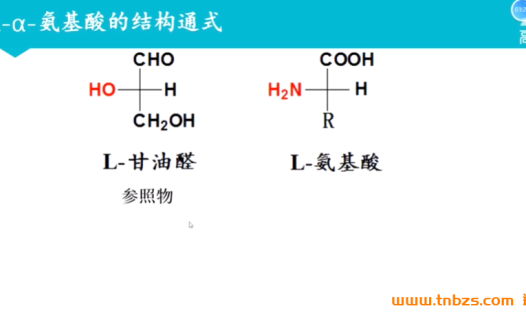 生物化学深度解析:12讲大学课程讲义全收录