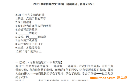 中考作文高分秘笈:梅语文精选2022满分范文合集