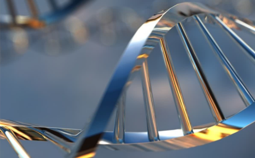 七年级生物探秘:林奈与物种命名——41讲完整课程讲义