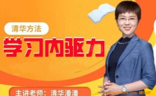 清华潘潘14年教学精华:内驱力提升36讲完整版