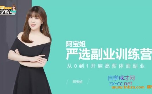 开启斜杠人生:阿宝姐严选副业训练营第12期(32讲全)