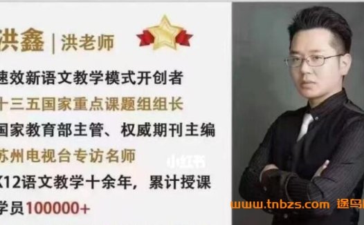 突破语文瓶颈:洪鑫老师亲自执教的阅读与作文16讲(配套讲义)