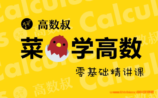 高数上下册6小时极速通关:高数叔通宵复习版,百度网盘资源