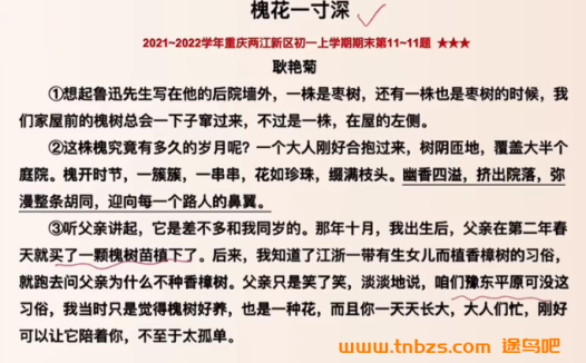 盖老师初中语文学霸养成营阅读理解和课外文言文 40讲百度网盘下载
