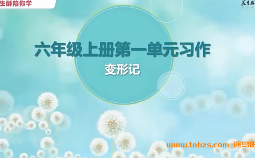花生酥毛芸老师小学语文六年级课堂同步作文 14讲百度网盘下载