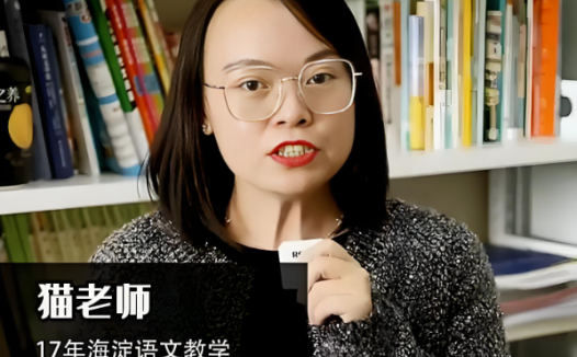 海淀猫老师 语文阅读 写作王者中阶课30讲完结 百度网盘下载