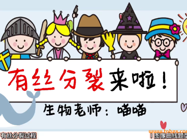 B站生物课程 一生儿高中生物全套课程24G合集 百度网盘下载