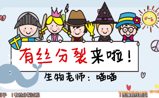 B站生物课程 一生儿高中生物全套课程24G合集 百度网盘下载