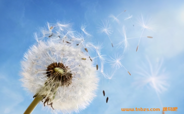 湖北省襄阳市枣阳市人教版六年级（上）期末数学试卷（含答案） – 百度网盘下载