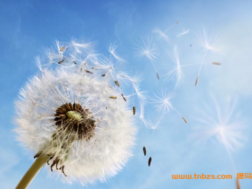 化学 高考状元班提分笔记 – 百度网盘下载