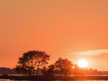 天津市和平区八年级第一学期期末物理试题 – 百度网盘下载
