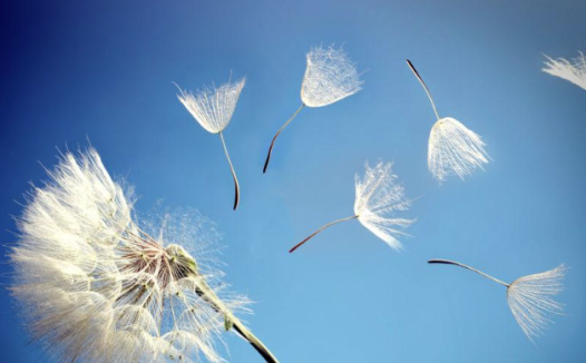 人教版河北省秦皇岛市抚宁区八年级上学期期末考试物理试题 – 百度网盘下载
