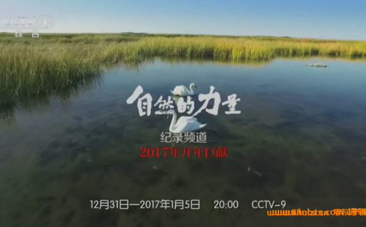 央视高清纪录片自然的力量普通话6集720P高清 百度网盘免费下载